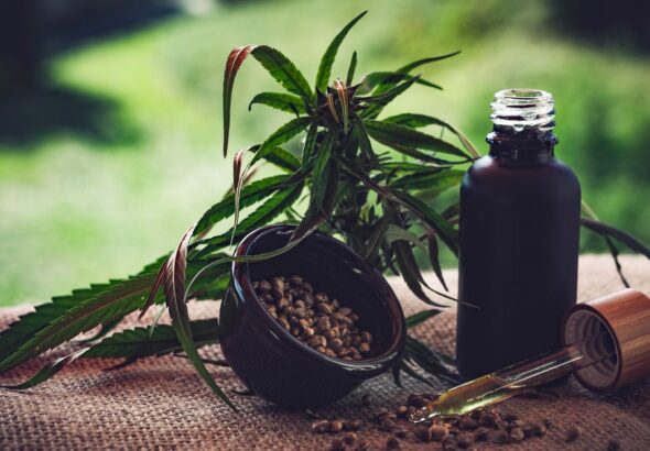 Para associações, normas ainda deixam pontos em aberto sobre cannabis