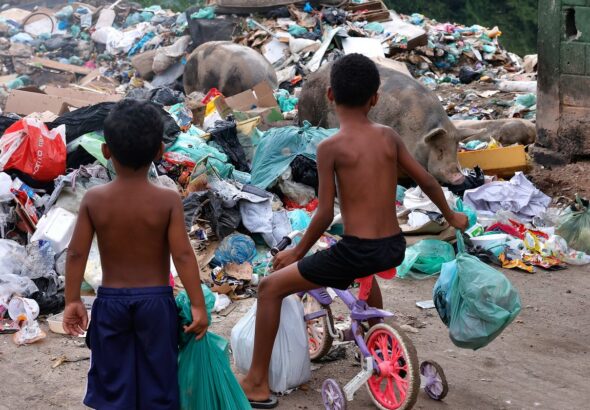 Senado aprova direito prioritário da criança a meio ambiente saudável