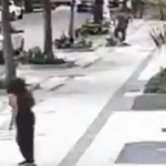 Professora aposentada da UFRJ é baleada em assalto na zona sul do Rio